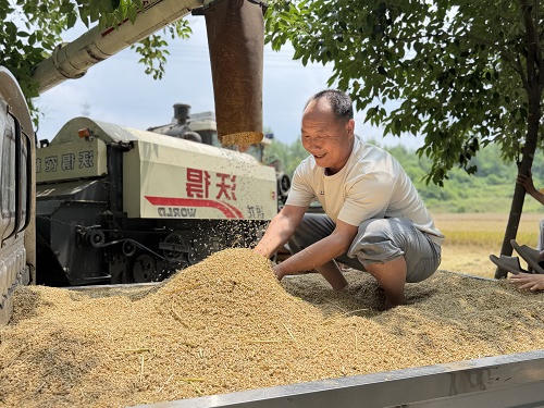 世界杯app下载